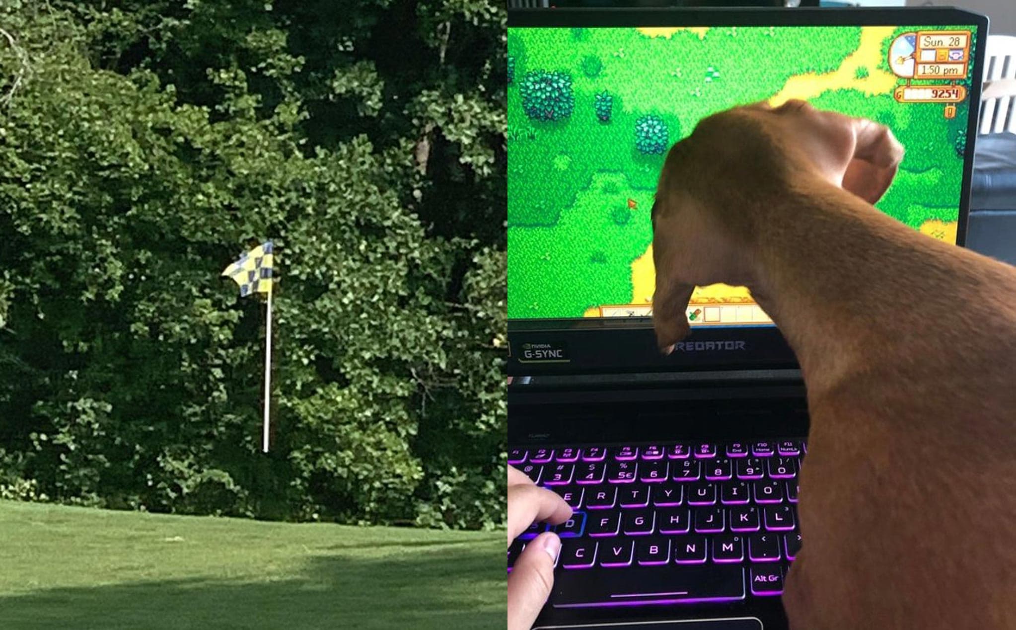 Những bức ảnh “đánh lừa thị giác” khiến bạn phải dụi mắt nhìn lại